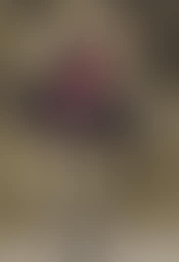 Portrait of Isadora Duncan (preview)