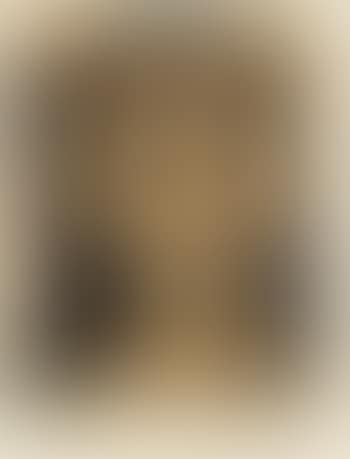 Femme aux cheveux flous (B. 1079; Ba. 1297) (preview)