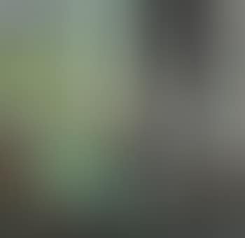 Still Life (preview)