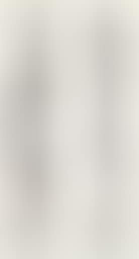 Calligraphy Couplet in Cursive Script (preview)