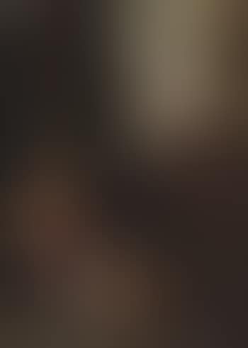 The Holy Family with the Infant Saint John the Baptist (preview)
