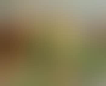 Menebes (preview)