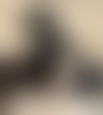 Head (Woman with Rottweilers) (preview)