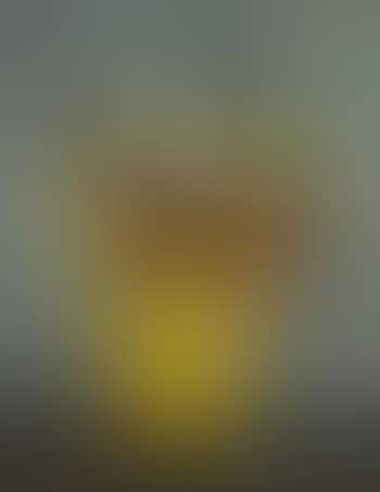Bouquet au vase jaune (preview)