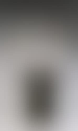 Violon decoupe (preview)