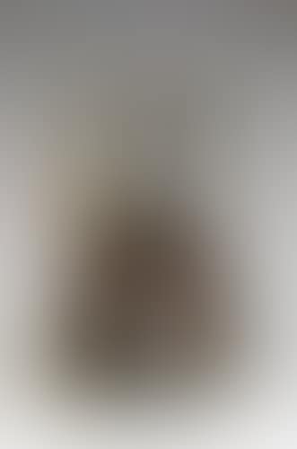 Violon calcine (preview)