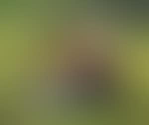 Meisje in landschap (preview)