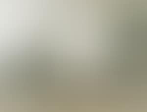 Paysage (preview)