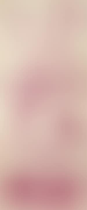 Compositie (preview)