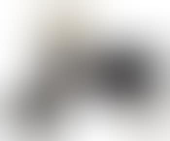 Man With Handlebar Mustache/Two Branches (with black intrusion) (preview)