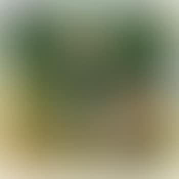 Woman In The Garden (preview)