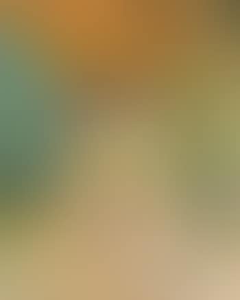 Paysage anime (preview)