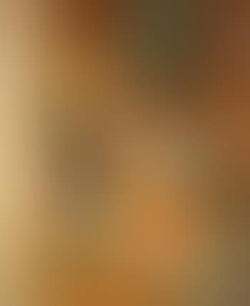 Nature morte (preview)