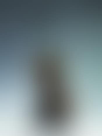 Violon coupe IV (preview)