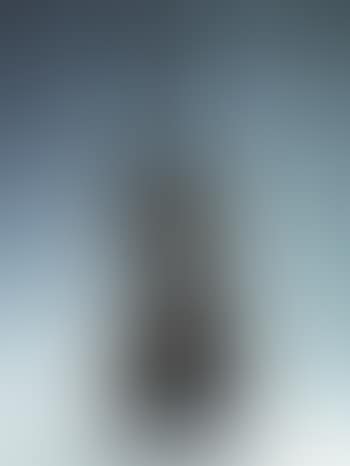 Violon coupe II (preview)