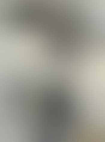 Variazione n2 (preview)