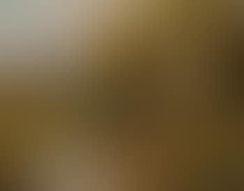 Ungarische landschaft (preview)