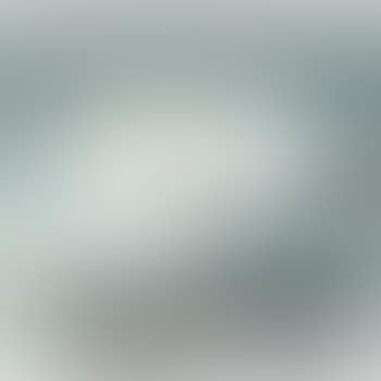 Two Egrets (preview)