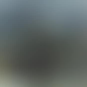 Landscape (preview)