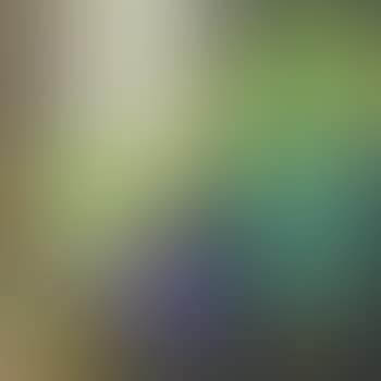 Still Life (preview)