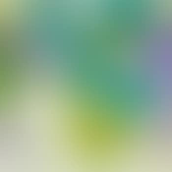 Grapevines (preview)