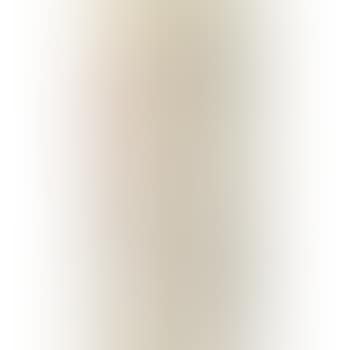 Plum Blossoms; Calligraphy (preview)