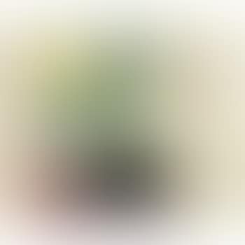 Nature Morte (Still Life) (preview)