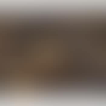 Paysage Du Tonkin (Landscape Of Tonkin) (preview)