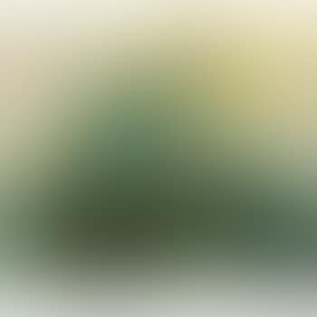 Sun In The Mountains (preview)