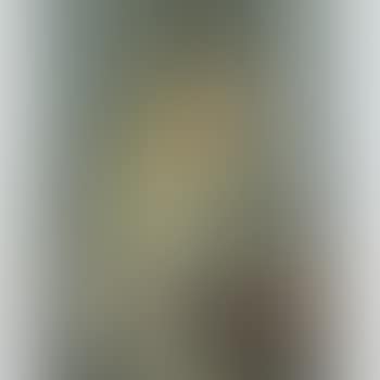 La Femme À L'écharpe Verte (The Lady With The Green Scarf) (preview)