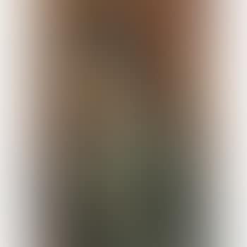 Jeune Fille Au Foulard (The Young Lady With A Scarf) (preview)