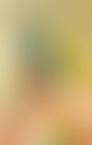 Fleurs Et Fruits (Flowers And Fruits) (preview)