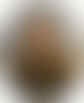 Portrait of Ataman Count M I Platov (preview)