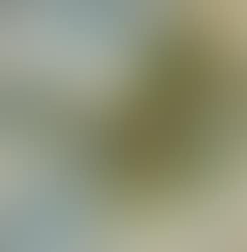 Sans titre (preview)
