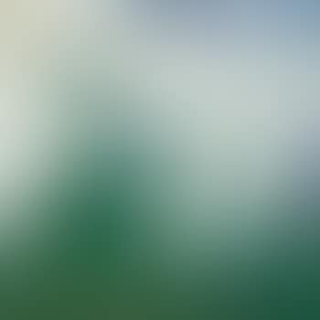 Sans titre (preview)