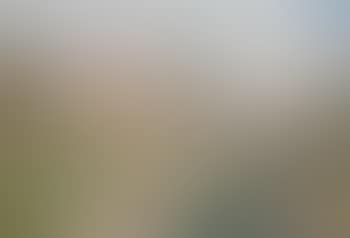Farmers in a summer landscape (preview)