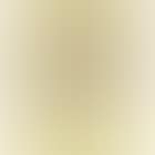Warmes (Warm) (preview)