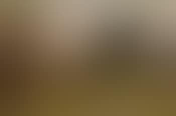 Shepherd and dog with sheep on a country lane at dusk (preview)