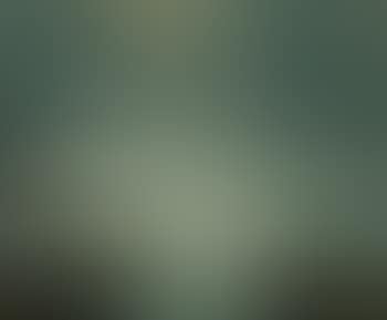 Moonlight Sonata, seascape (preview)
