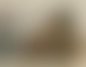 Cowboy, New Mexico (preview)