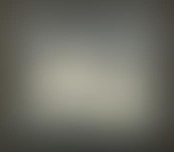 Louisiana landscape with oak tree (preview)
