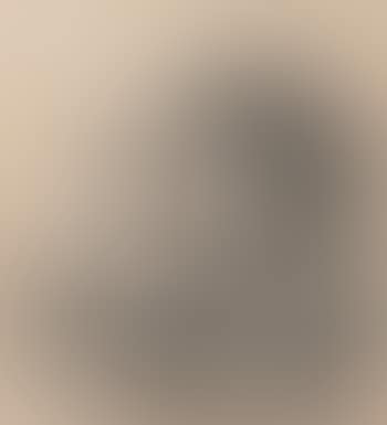 Rembrandt mit Saskia (preview)