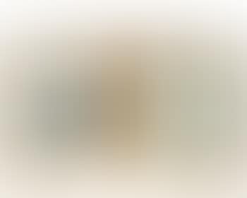 Personnages (preview)