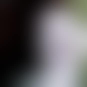 Portrait (preview)
