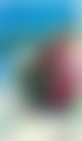 Melanzana (preview)