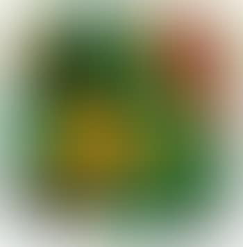 Nespole e bungavillea (preview)