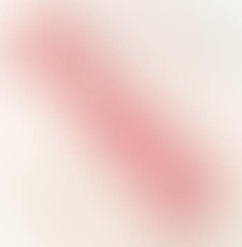 Pork (preview)