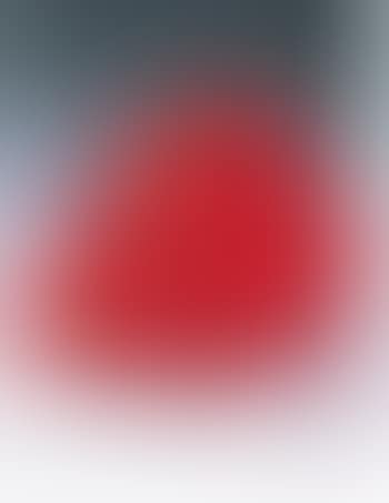 Cloony (orsi) (preview)