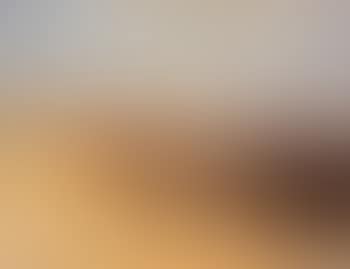 Rue a Montparnasse (preview)