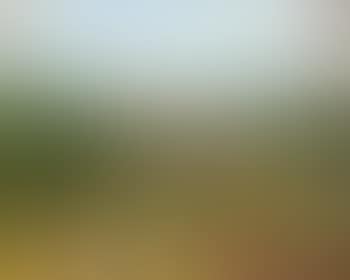 Paysage de l'Yonne (preview)
